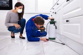 Emergency Pest Control in Bradford, OH